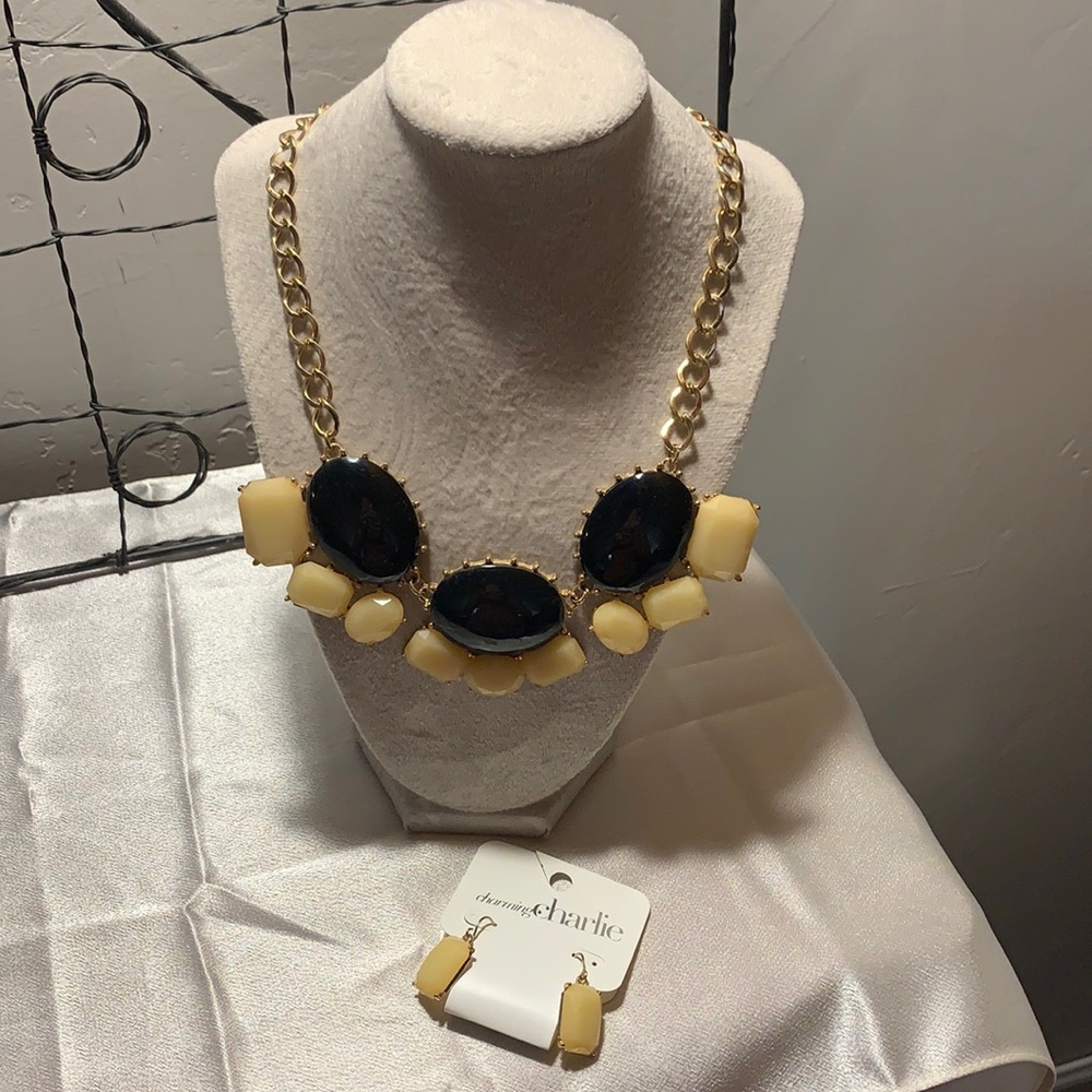 Charming Charlie Necklace and Earring Set